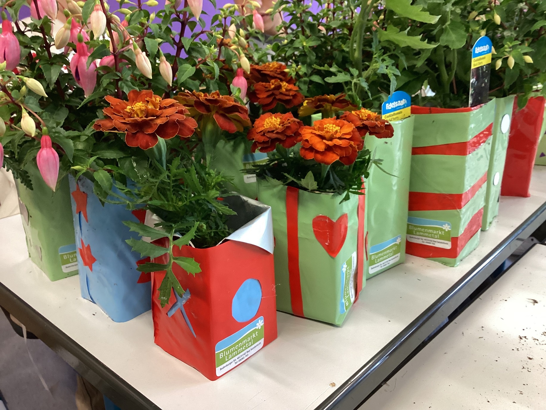 Upcycling schmucke Blumentöpfe für das Altstadtfest IGS Bad